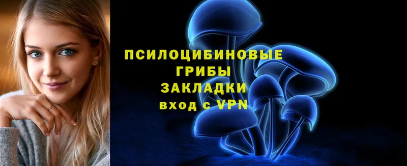 Псилоцибиновые грибы мицелий  магазин продажи наркотиков  Тейково 